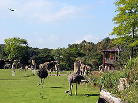  Foto: Zoo Leipzig
