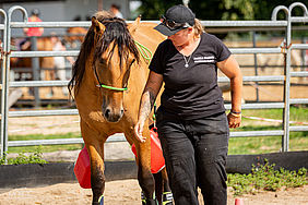 Foto von Mustang Casanova und Trainerin Janell Baader beim Training
