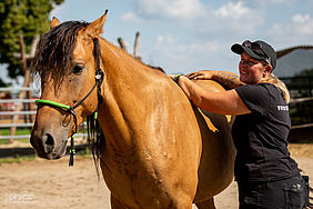 Foto von Mustang Casanova und Trainerin Janell Baader beim Training