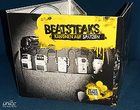 CD + DVD: Beatsteaks – Kanonen Auf Spatzen (Deluxe )