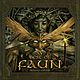 Faun: XV - Best Of Albumcover