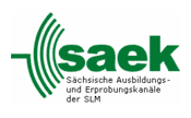 saek - Logo