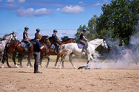 Reiter der Sächsischen Polizeireiterstaffel