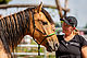 Foto von Mustang Casanova und Trainerin Janell Baader beim Training