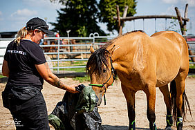 Foto von Mustang Casanova und Trainerin Janell Baader beim Training