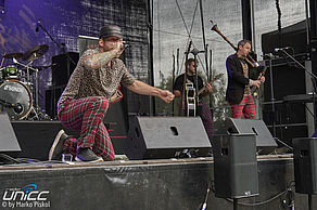 Konzertfoto von Zwiebelgeschmack beim Festival Medival 2022