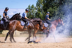 Reiter der Sächsischen Polizeireiterstaffel