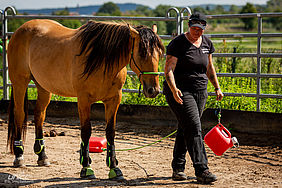 Foto von Mustang Casanova und Trainerin Janell Baader beim Training