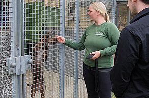 Tierpflegerin Eva erzählt beim Rundgang etwas über die Schicksale der Tiere. Foto: Anika Weber