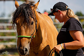 Foto von Mustang Casanova und Trainerin Janell Baader beim Training