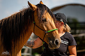 Foto von Mustang Casanova und Trainerin Janell Baader beim Training