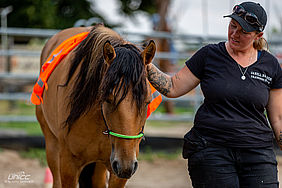 Foto von Mustang Casanova und Trainerin Janell Baader beim Training