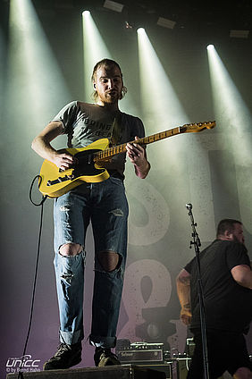 Feine Sahne Fischfilet in Zwickau