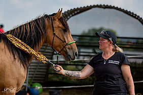 Foto von Mustang Casanova und Trainerin Janell Baader beim Training