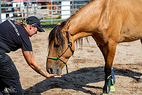 Foto von Mustang Casanova und Trainerin Janell Baader beim Training