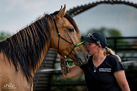 Foto von Mustang Casanova und Trainerin Janell Baader beim Training