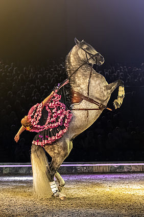 Cavalluna Show 2023 