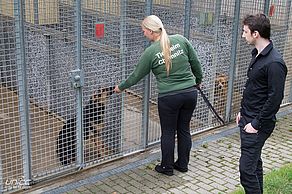 Tierpflegerin Eva erzählt beim Rundgang etwas über die Schicksale der Tiere. Foto: Anika Weber