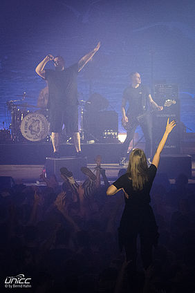 Feine Sahne Fischfilet in Zwickau