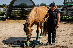 Foto von Mustang Casanova und Trainerin Janell Baader beim Training