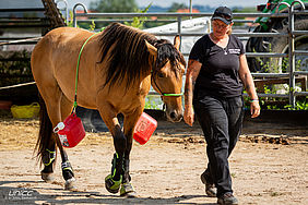 Foto von Mustang Casanova und Trainerin Janell Baader beim Training