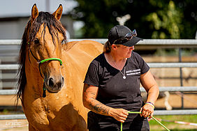 Foto von Mustang Casanova und Trainerin Janell Baader beim Training