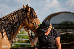 Foto von Mustang Casanova und Trainerin Janell Baader beim Training