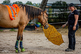 Foto von Mustang Casanova und Trainerin Janell Baader beim Training