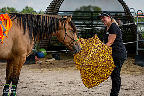 Foto von Mustang Casanova und Trainerin Janell Baader beim Training